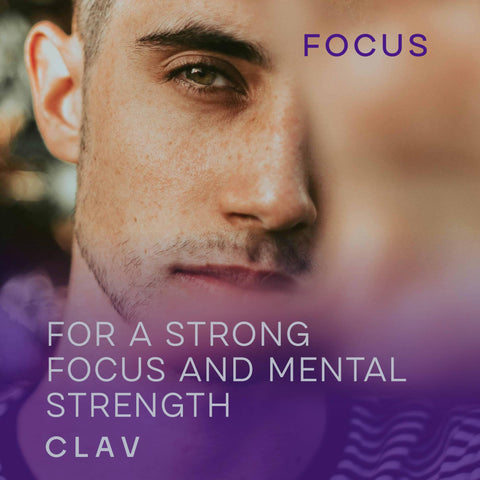 Nootropic Supplement