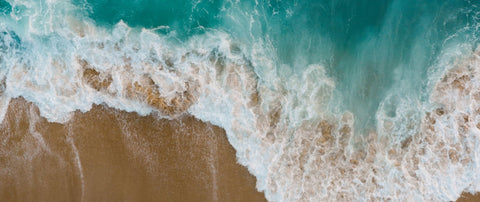 Chlorella vs. spirulina - the differences and benefits of the two microalgae