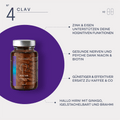 N°4 Focus infographic