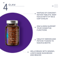 Nootropic Supplement