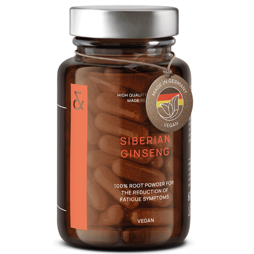 Siberian ginseng | Taiga root against exhaustion | CLAV