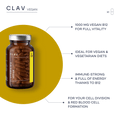 Vitamin B12 1000mcg Methylcobalamin Supplement